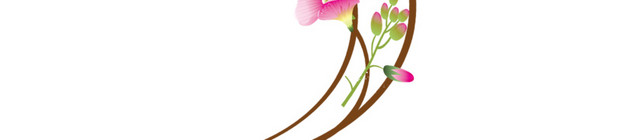 花藤