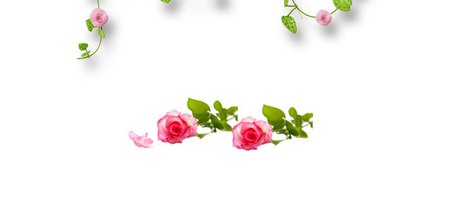 玫瑰花饰