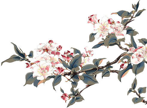 中国风花枝