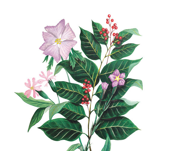 手绘小清新叶子植物花草海报