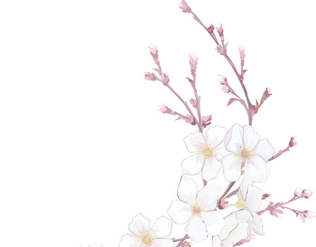 手绘粉红树枝桃花