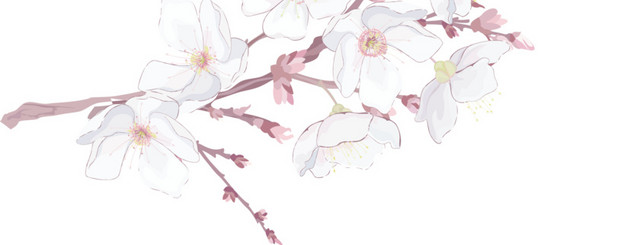 手绘粉红树枝桃花