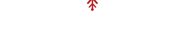 圣诞节大雪花图案