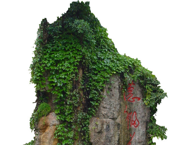 假山