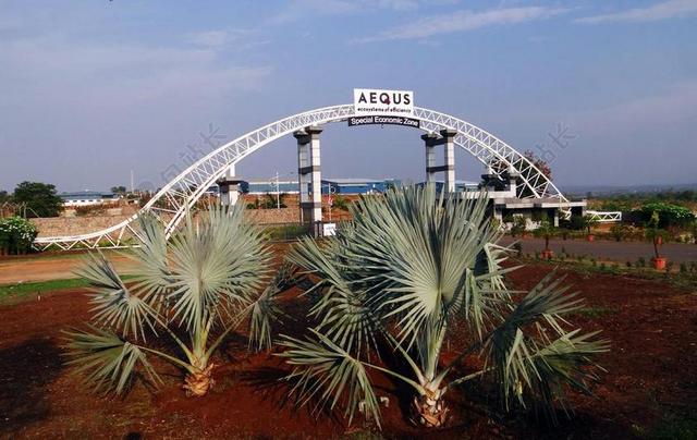 AEQUS 深圳经济特区 特别经济区 制造业 门 俾斯麦棕榈