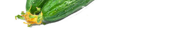 黄瓜