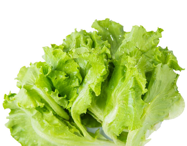 生菜免抠素材