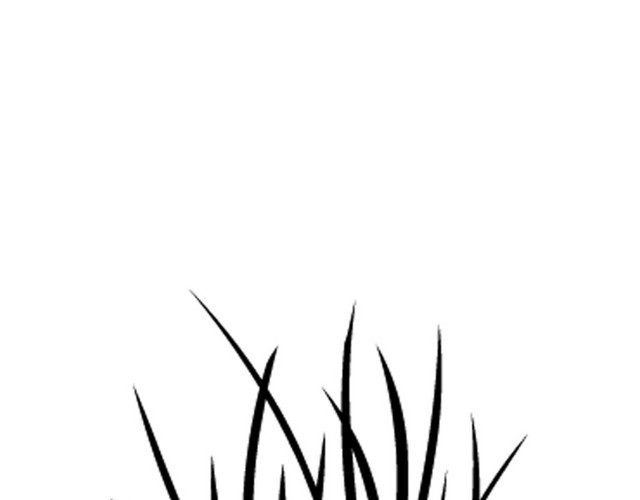 绘画植物