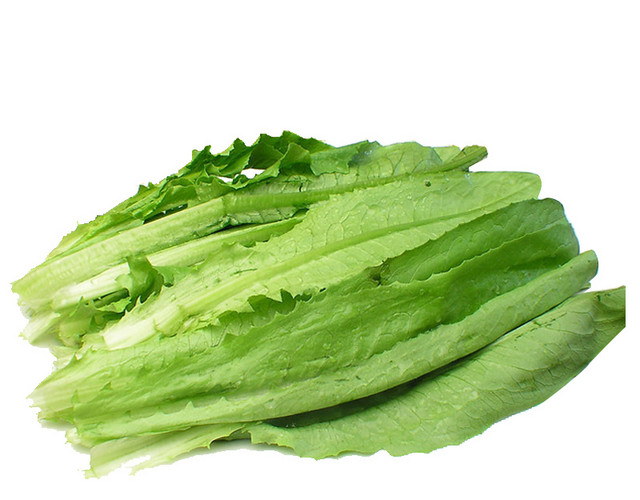 油麦菜PNG免抠图片素材