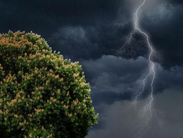 闪光 雷暴 迅雷 转寄 天空 夏天雷雨 夜 夜间雷阵雨 天气