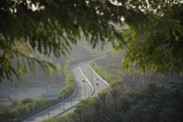 灰绿道路开阔野外树林间的公路道路设计背景图片