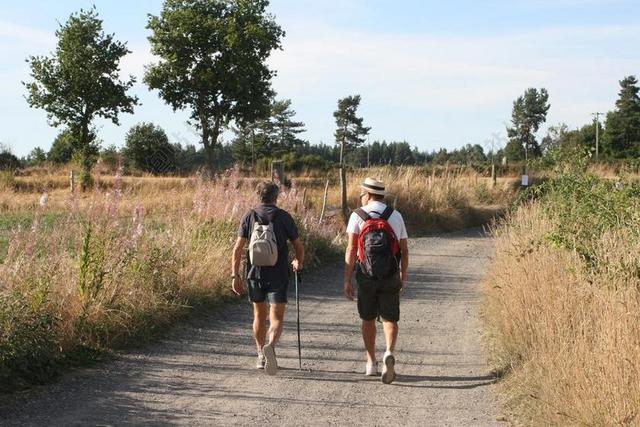 步行者 路径 乡村公路 徒步旅行 路