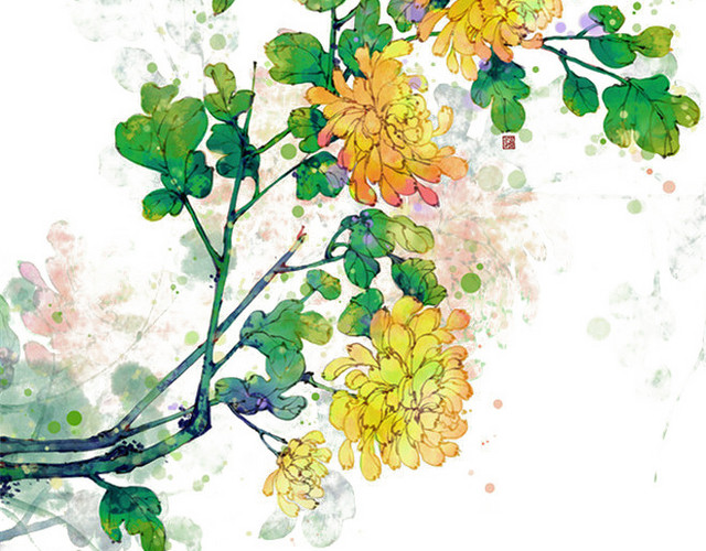 手绘花卉黄色菊花