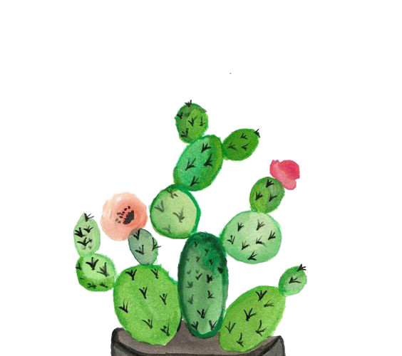植物手绘盆栽