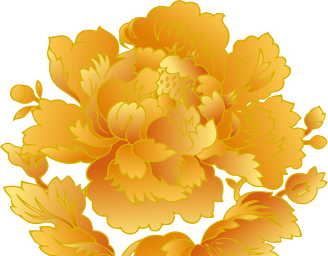 金色菊花