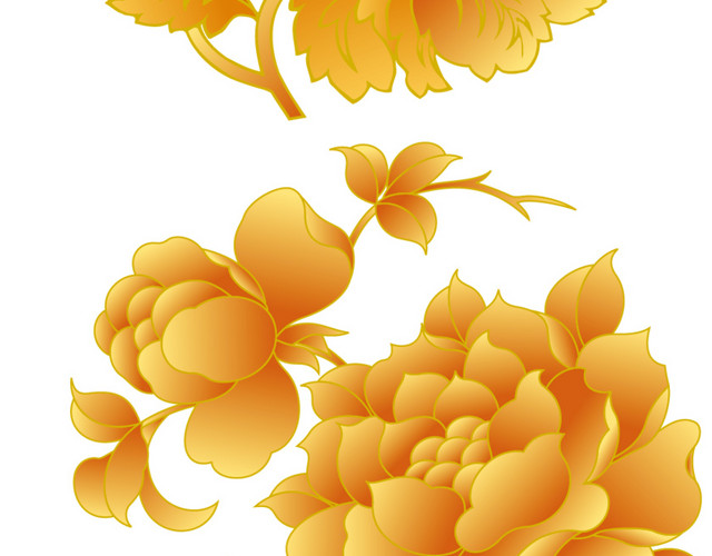 金色菊花