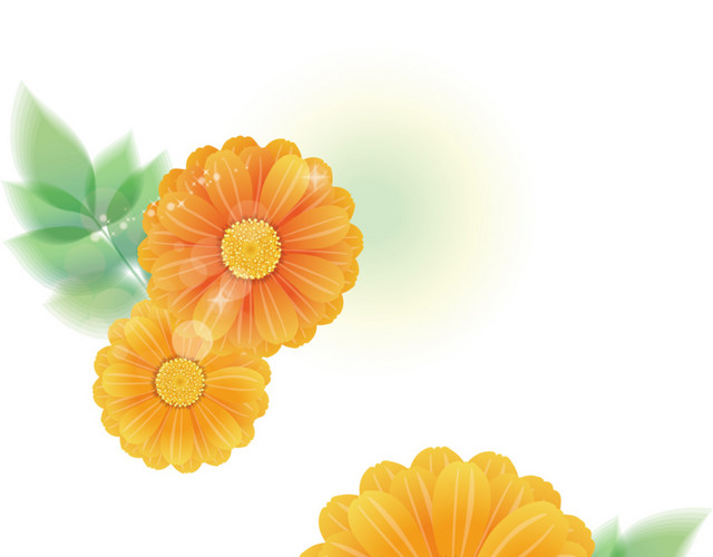 黄色菊花矢量图
