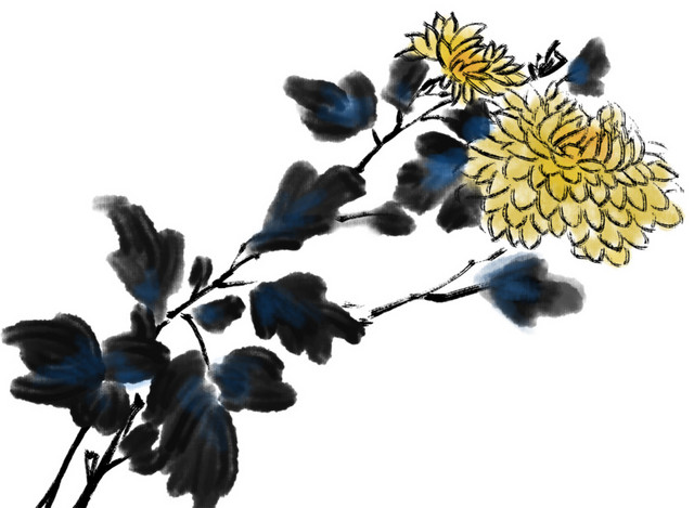 水墨菊花中国风插画