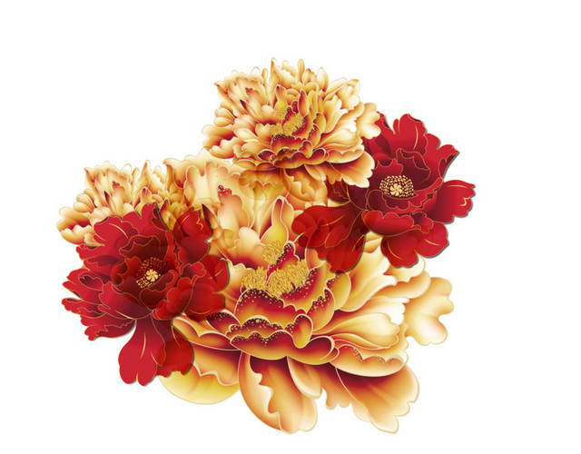 金色菊花