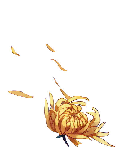 菊花