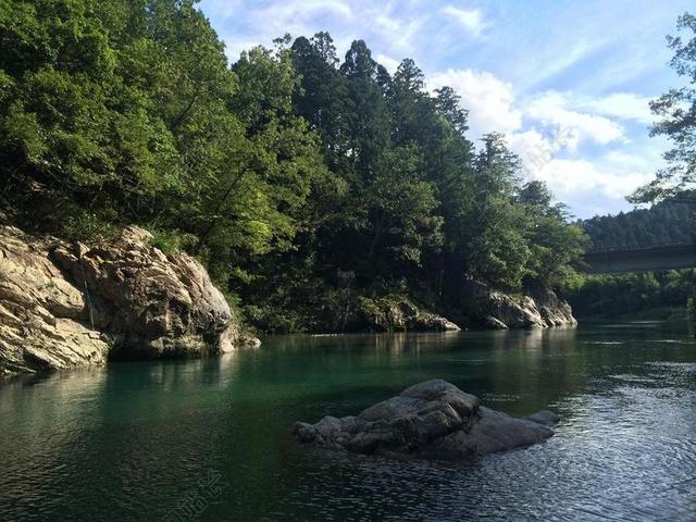 河 日本 让 自然 水 谷 绿色 水源