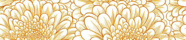 菊花花纹