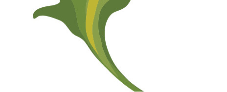 菊花叶子矢量装饰免抠素材