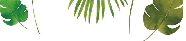 清新的水彩绿色叶子矢量图
