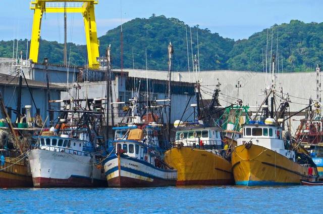 船 海港 海 钓鱼 渔 泊位