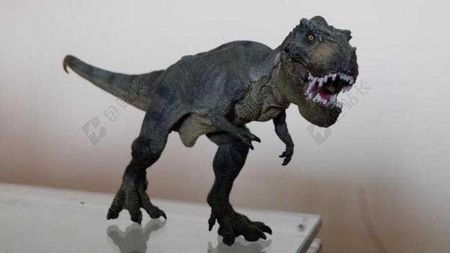 灰白玩具写实一只灰色的恐龙玩具动物背景图片