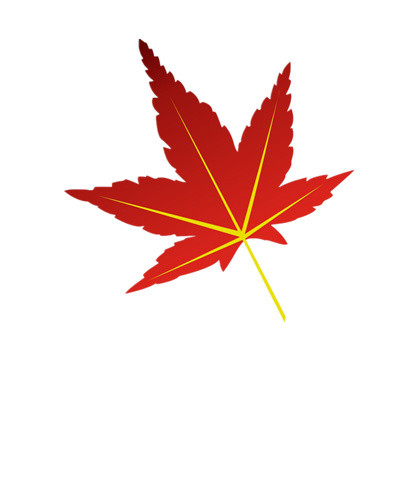 枫叶