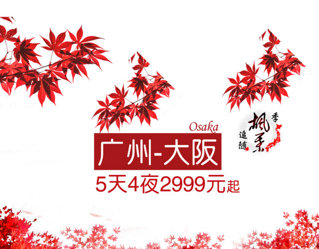 红枫叶