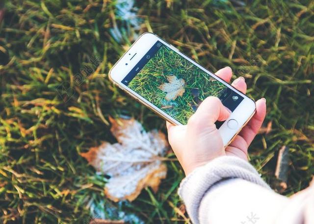 智能手机 IPHONE IPHONE 6 苹果公司 秋 秋天