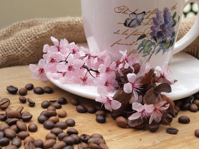 咖啡豆 咖啡 茶杯 喝咖啡的时间 鲜花