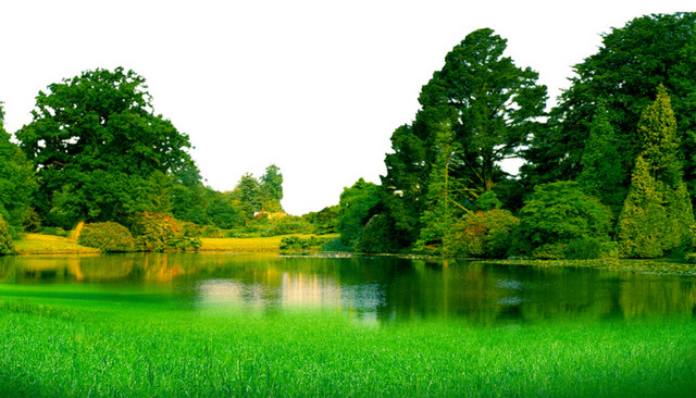 湖水绿草树木绿色风景