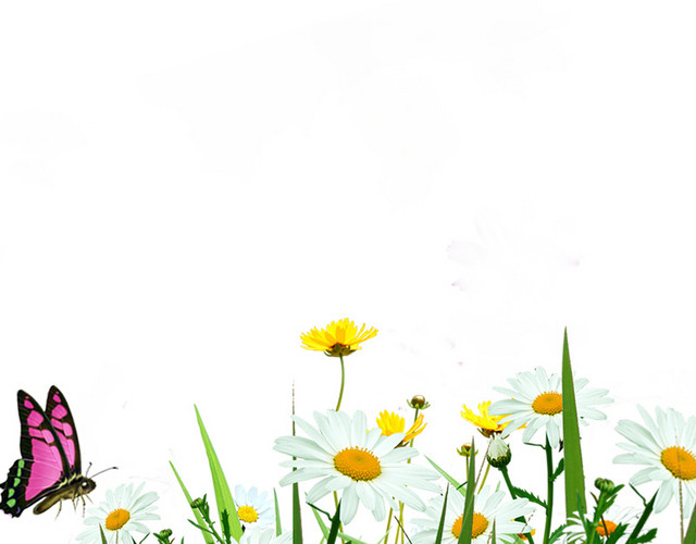 花丛