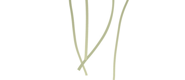 手绘荷花