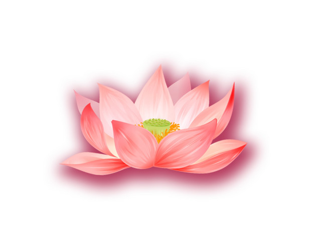 粉色荷花素材