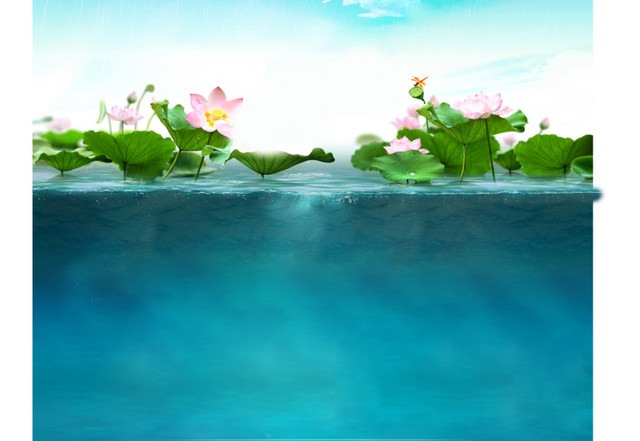 水中荷花素材