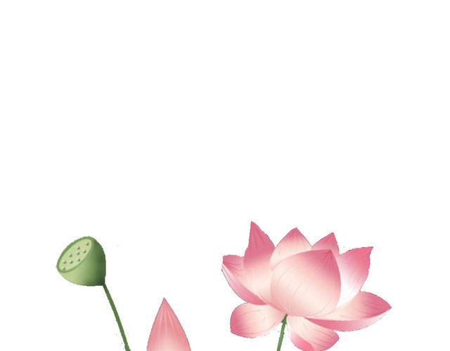 手绘荷花素材