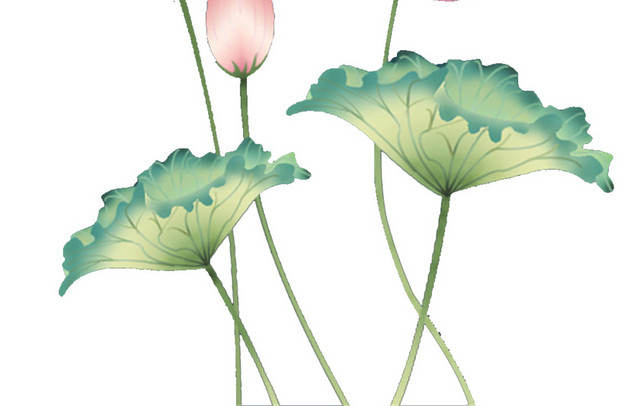 手绘荷花素材