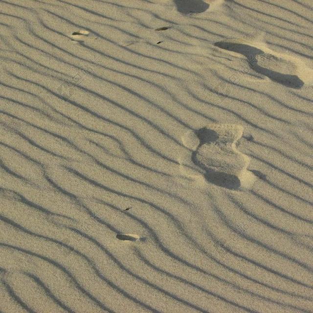 狂风巨浪 沙滩 大象的岩石海滩