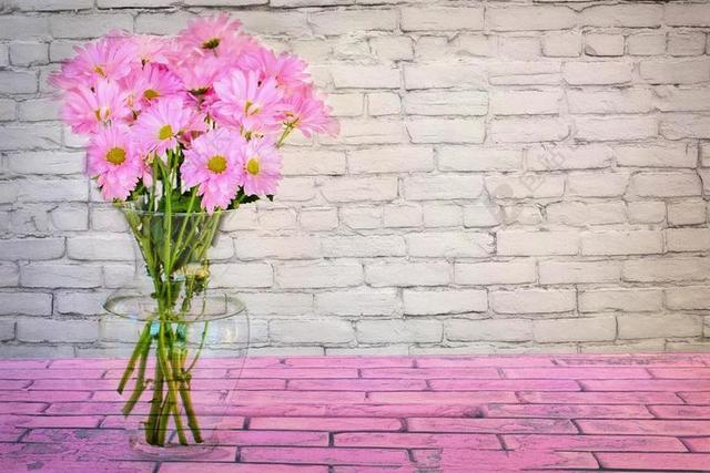 春 鲜花 雏菊 粉红色 花的 花束 自然 春天的花朵 开花