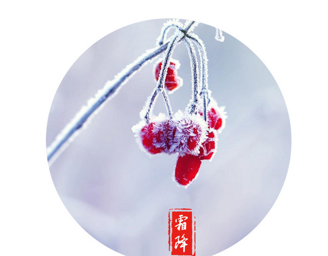 唯美二十四节气霜降雪景