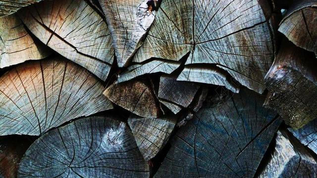 柴 火木 WOODPILE 木材堆 堆木头 切碎的木 拆分木