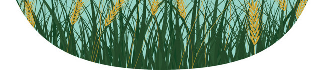 中国传统节气小满插画