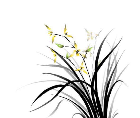 水彩兰花