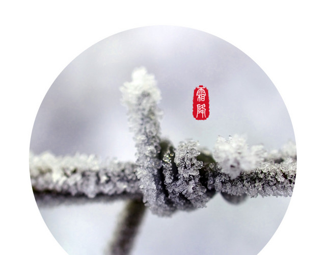简约传统节气霜降