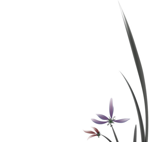 水墨兰花