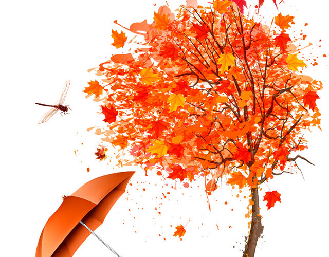 简约枫叶立秋BANNER